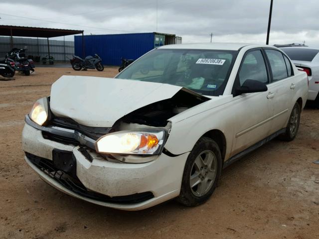 1G1ZT54845F160715 - 2005 CHEVROLET MALIBU LS Ağ foto 2