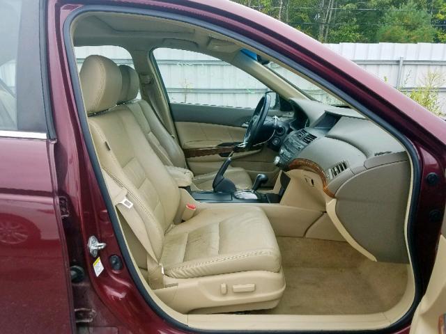 1HGCP36899A028377 - 2009 HONDA ACCORD EXL RED photo 5