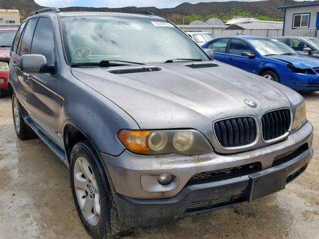 5UXFA135X5LY04086 - 2005 BMW X5 3.0I GRAY photo 1