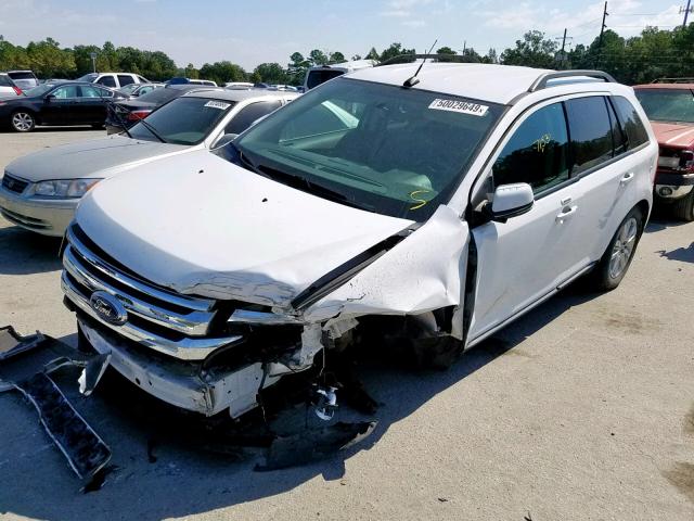 2FMDK3JC5EBA36662 - 2014 FORD EDGE SEL WHITE photo 2