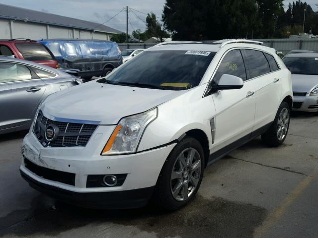 3GYFNBEY4AS625446 - 2010 CADILLAC SRX PERFOR 白色 照片 2