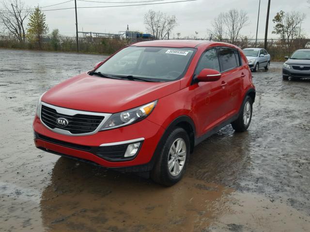 KNDPB3A23D7510690 - 2013 KIA SPORTAGE B RED photo 2