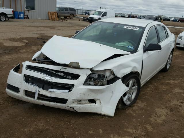 1G1ZA5E00A4101651 - 2010 CHEVROLET MALIBU LS 白色 照片 2