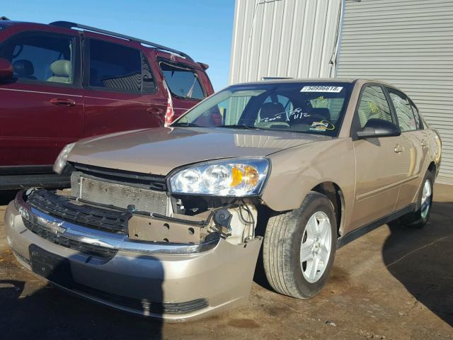 1G1ZT52855F253942 - 2005 CHEVROLET MALIBU LS 金色 照片 2