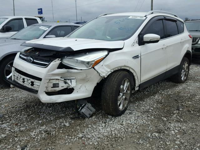 1FMCU0JX0EUD15647 - 2014 FORD ESCAPE TIT WHITE photo 2