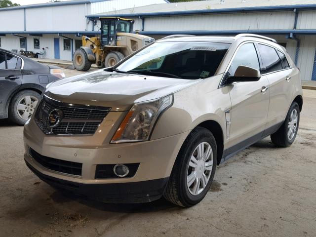 3GYFNBEY2AS639572 - 2010 CADILLAC SRX PERFOR BEIGE photo 2