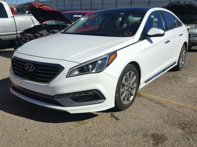 5NPE34AF3GH314245 - 2016 HYUNDAI SONATA SPO WHITE photo 2