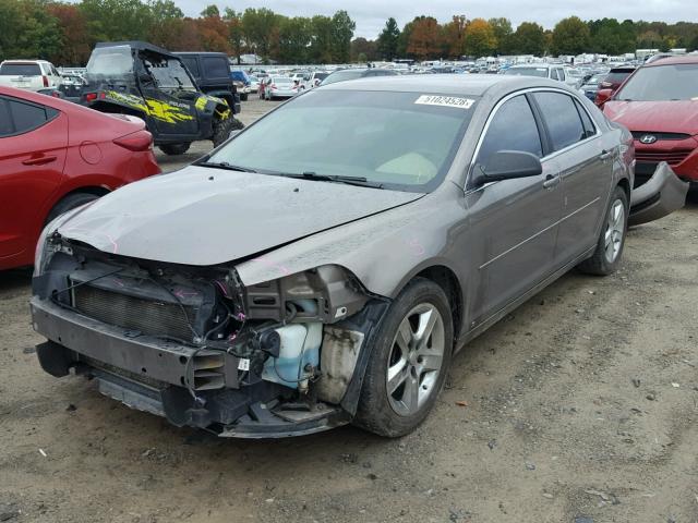 1G1ZB5EB3AF125686 - 2010 CHEVROLET MALIBU LS თაფლისფერი ფოტო 2