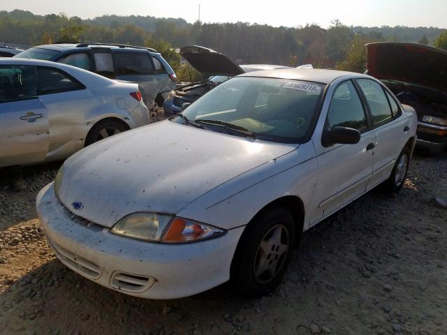 1G1JC524427313676 - 2002 CHEVROLET CAVALIER B WHITE photo 2