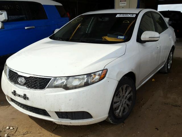 KNAFU4A24D5648081 - 2013 KIA FORTE EX WHITE photo 2