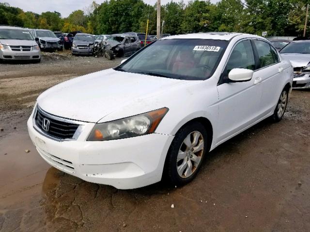 1HGCP26839A075480 - 2009 HONDA ACCORD EXL WHITE photo 2