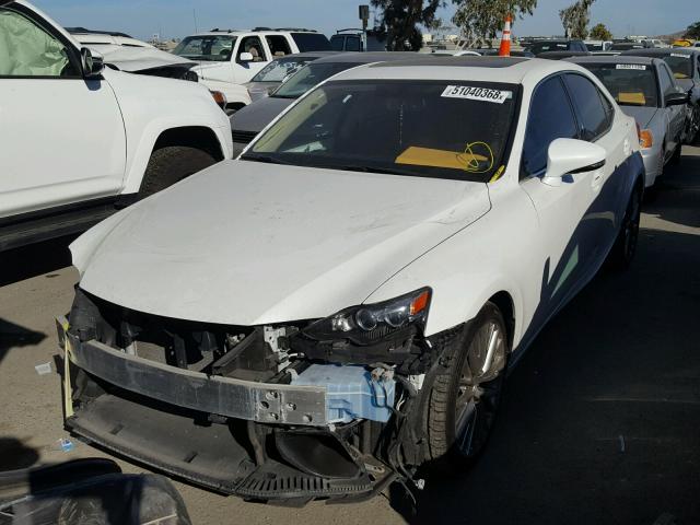 JTHBF1D24E5021631 - 2014 LEXUS IS 250 WHITE photo 2