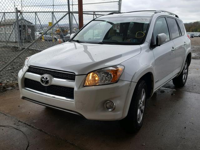 2T3DF4DV2BW176527 - 2011 TOYOTA RAV4 LIMIT WHITE photo 2