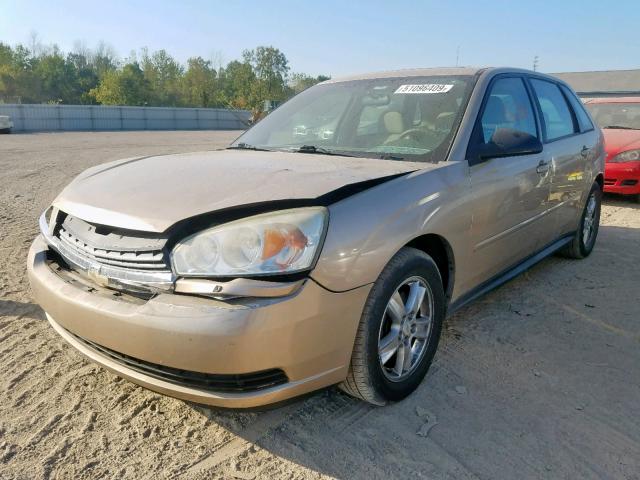 1G1ZT64815F101885 - 2005 CHEVROLET MALIBU MAX 金色 照片 2