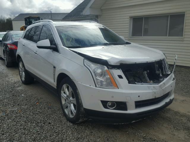 3GYFNEEYXBS509834 - 2011 CADILLAC SRX PERFOR თეთრი ფოტო 1
