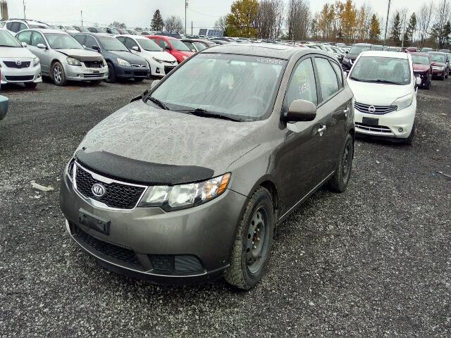 KNAFU5A20B5324080 - 2011 KIA FORTE EX BROWN photo 2