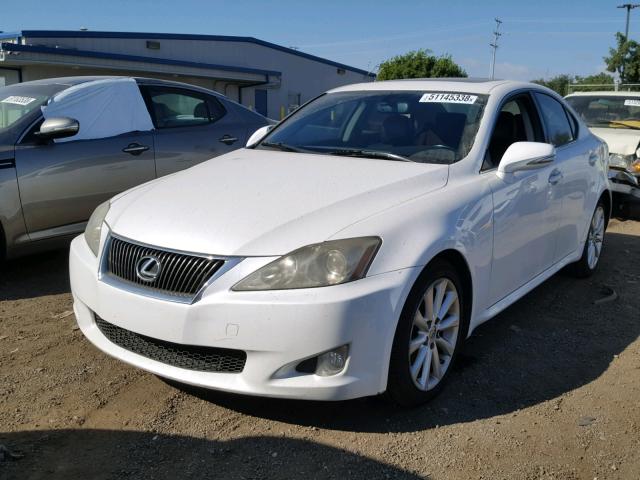 JTHBK262295100882 - 2009 LEXUS IS 250 WHITE photo 2