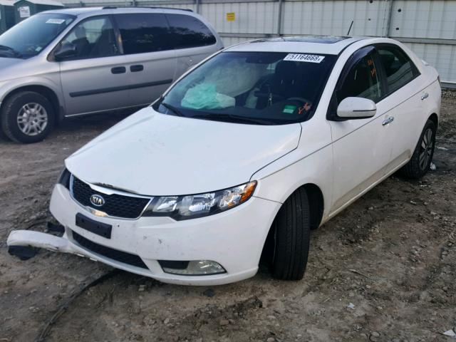 KNAFU4A22D5680981 - 2013 KIA FORTE EX WHITE photo 2