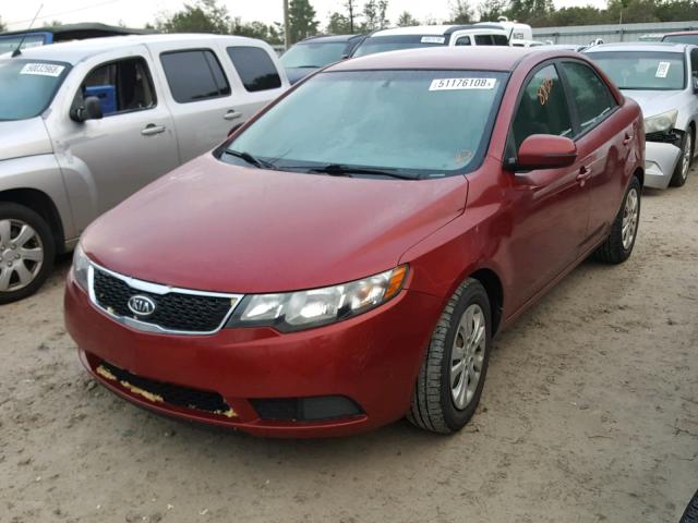 KNAFU4A22C5471044 - 2012 KIA FORTE EX RED photo 2