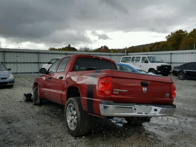 1D7HE48N66S666309 - 2006 DODGE DAKOTA QUA RED photo 3