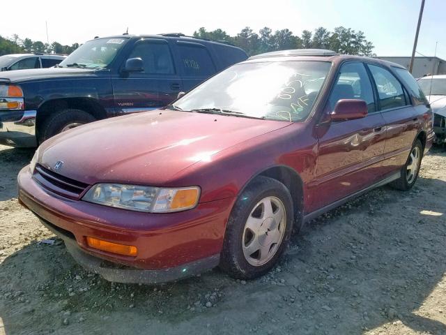 1HGCE1893RA011316 - 1994 HONDA ACCORD RED photo 2