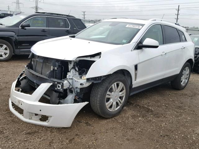 3GYFNDEY3BS519499 - 2011 CADILLAC SRX LUXURY WHITE photo 2