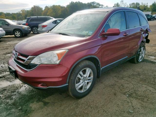 5J6RE4H79BL030062 - 2011 HONDA CR-V EXL RED photo 2