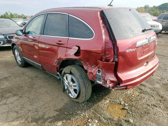 5J6RE4H79BL030062 - 2011 HONDA CR-V EXL RED photo 3