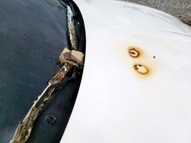 2G1WX12K039266356 - 2003 CHEVROLET MONTE CARL თეთრი ფოტო 9