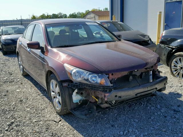 1HGCP36898A008306 - 2008 HONDA ACCORD EXL MAROON photo 1