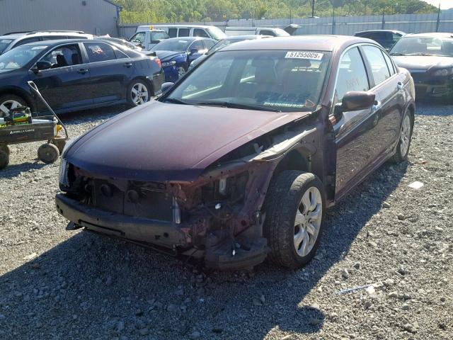 1HGCP36898A008306 - 2008 HONDA ACCORD EXL MAROON photo 2