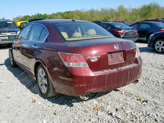 1HGCP36898A008306 - 2008 HONDA ACCORD EXL MAROON photo 3