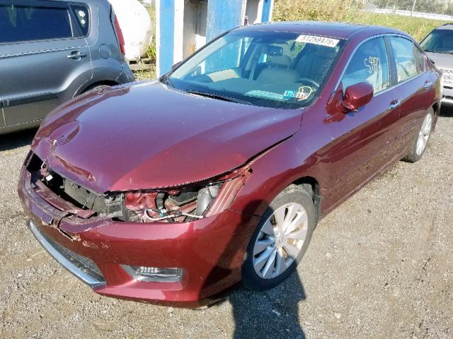 1HGCR2F87DA121802 - 2013 HONDA ACCORD EXL BURGUNDY photo 2