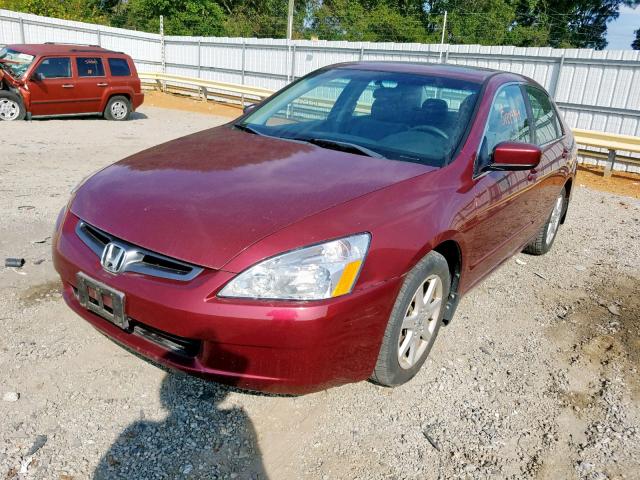 1HGCM66504A015929 - 2004 HONDA ACCORD EX RED photo 2