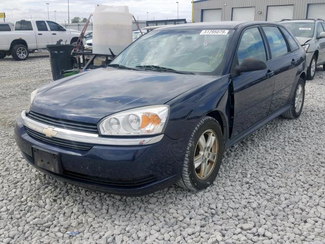 1G1ZT62895F107517 - 2005 CHEVROLET MALIBU MAX 蓝色 照片 2