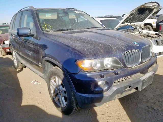 5UXFA13524LU25386 - 2004 BMW X5 3.0I BLUE photo 1