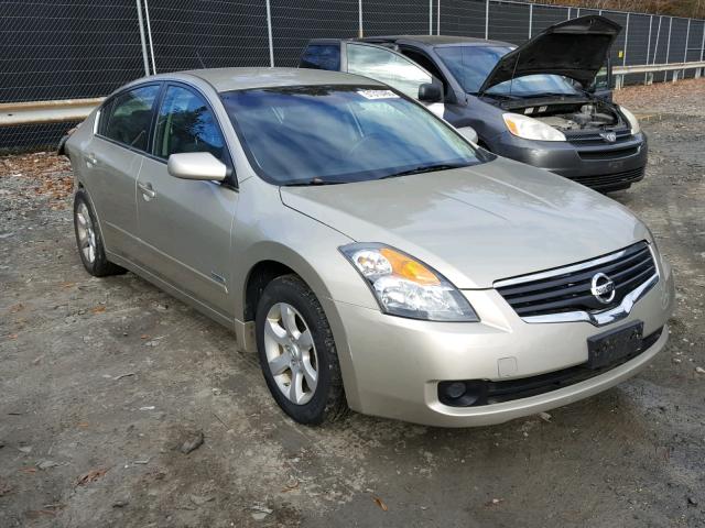 1N4CL21E99C175276 - 2009 NISSAN ALTIMA HYB GOLD photo 1