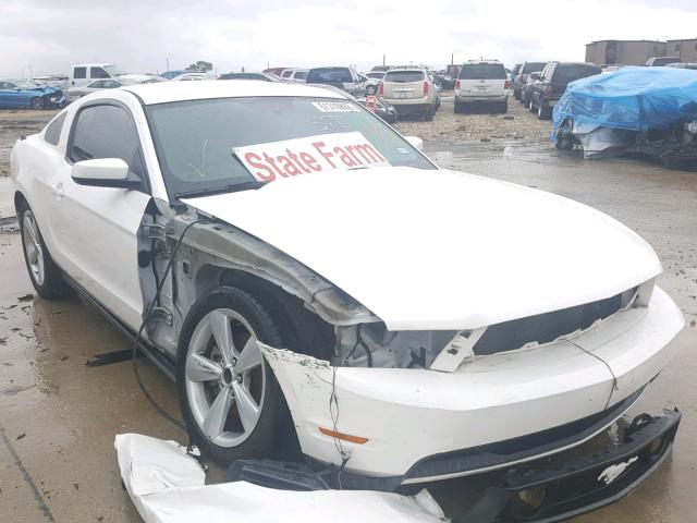 1ZVBP8CH7A5181717 - 2010 FORD MUSTANG GT WHITE photo 1