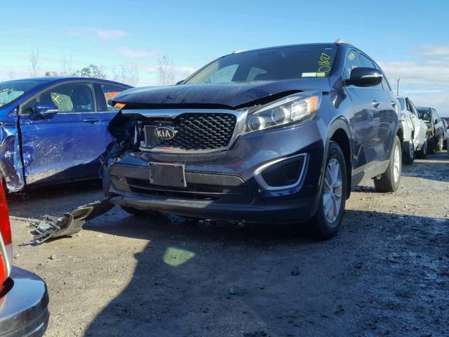 5XYPG4A37HG214810 - 2017 KIA SORENTO LX BLUE photo 2