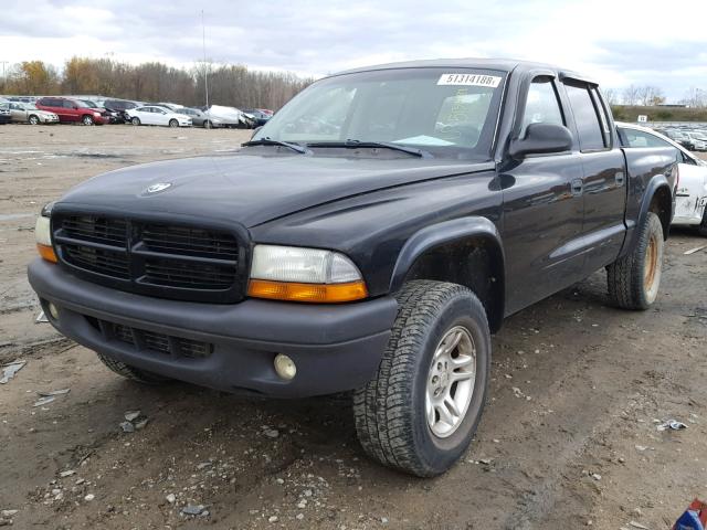 1D7HG38X03S230170 - 2003 DODGE DAKOTA QUA BLACK photo 2