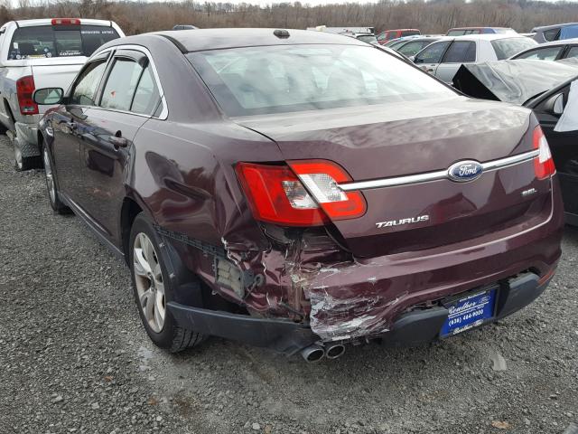 1FAHP2EW5BG127771 - 2011 FORD TAURUS SEL PURPLE photo 3