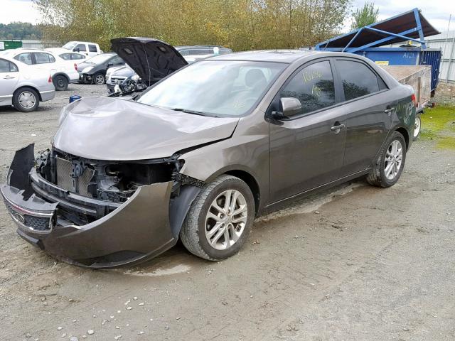 KNAFU4A22C5471383 - 2012 KIA FORTE EX GRAY photo 2