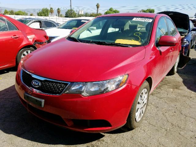 KNAFU4A26D5740308 - 2013 KIA FORTE EX RED photo 2