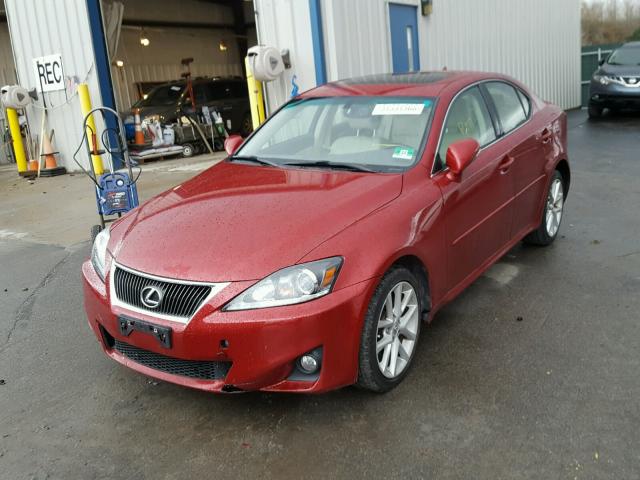 JTHCF5C20C5058721 - 2012 LEXUS IS 250 RED photo 2