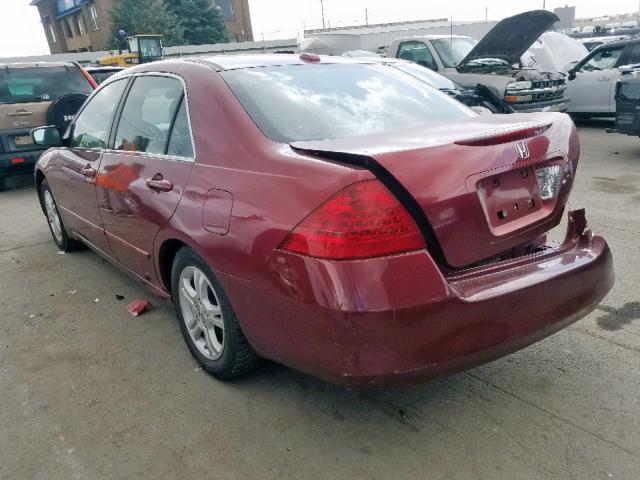 1HGCM56886A044389 - 2006 HONDA ACCORD EX BURGUNDY photo 3