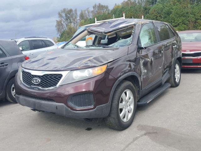 5XYKT3A15BG066341 - 2011 KIA SORENTO BA BURGUNDY photo 2