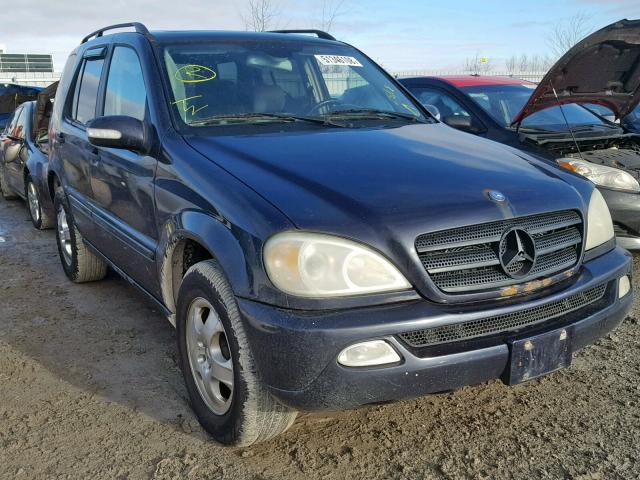 4JGAB54E12A332295 - 2002 MERCEDES-BENZ ML 320 BLUE photo 1