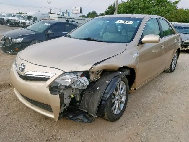 4T1BB3EK5AU124608 - 2010 TOYOTA CAMRY HYBR GOLD photo 2