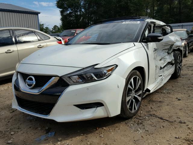 1N4AA6AP2HC392415 - 2017 NISSAN MAXIMA 3.5 WHITE photo 2