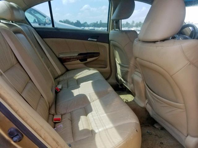 JHMCP26878C019686 - 2008 HONDA ACCORD EXL GOLD photo 6